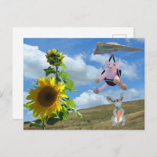 Carte postale - Heureux amis sur Hill (Devant / Derrière)