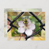 Carte Postale Heureux celui qui fait confiance à l'Éternel (Devant / Derrière)