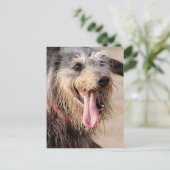 Carte Postale Heureux chien sur une plage (Debout devant)