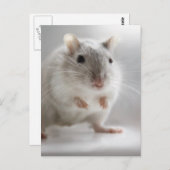 CARTE POSTALE HEUREUX DE VOUS RENCONTRER (Devant / Derrière)