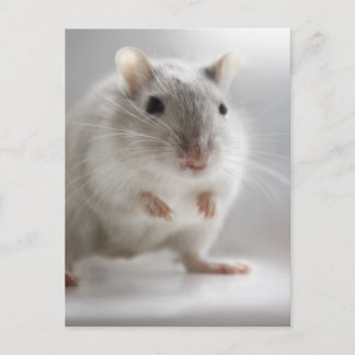 CARTE POSTALE HEUREUX DE VOUS RENCONTRER