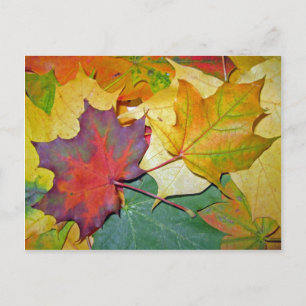 Carte Postale Heureux d'être ensemble