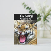 Carte Postale Hey_ (Debout devant)