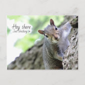 Carte postale Hey There, Just Checking In  (Devant)