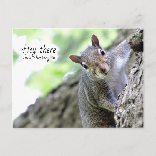 Carte postale Hey There, Just Checking In  (Devant)