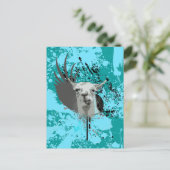 Carte Postale hi-fi llama. (Debout devant)