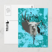 Carte Postale hi-fi llama. (Devant / Derrière)