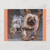 Carte Postale Hi There Yorkshire Terrier (Devant)