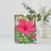 Carte Postale Hibiscus (Debout devant)