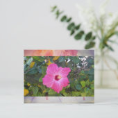 Carte Postale Hibiscus (Debout devant)