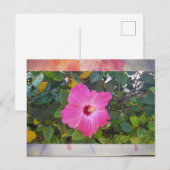 Carte Postale Hibiscus (Devant / Derrière)