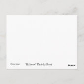 Carte Postale Hibiscus (Dos)