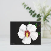 Carte postale Hibiscus (Debout devant)