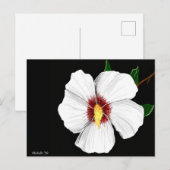 Carte postale Hibiscus (Devant / Derrière)