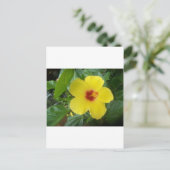 Carte Postale Hibiscus (Debout devant)