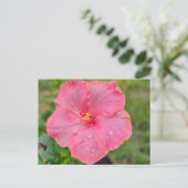 Carte postale Hibiscus (Debout devant)