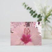 Carte Postale Hibiscus (Debout devant)