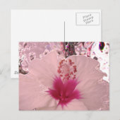 Carte Postale Hibiscus (Devant / Derrière)