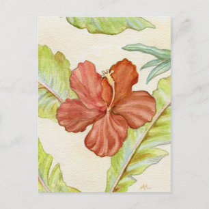 Carte postale Hibiscus