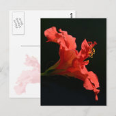 Carte Postale Hibiscus (Devant / Derrière)