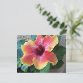 Carte Postale Hibiscus (Debout devant)