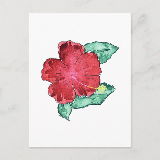 Carte postale Hibiscus (Devant)