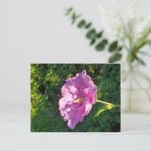 Carte Postale Hibiscus (Debout devant)