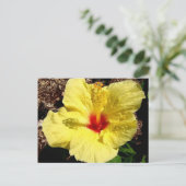 Carte Postale hibiscus 11 (Debout devant)