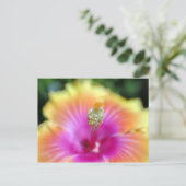 Carte Postale hibiscus 19 (Debout devant)