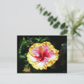 Carte Postale hibiscus 24 (Debout devant)