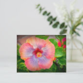Carte Postale hibiscus 29 (Debout devant)
