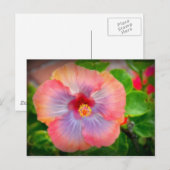 Carte Postale hibiscus 29 (Devant / Derrière)