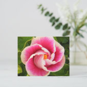 Carte Postale hibiscus 30 (Debout devant)