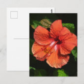 Carte Postale Hibiscus 424 (Devant / Derrière)