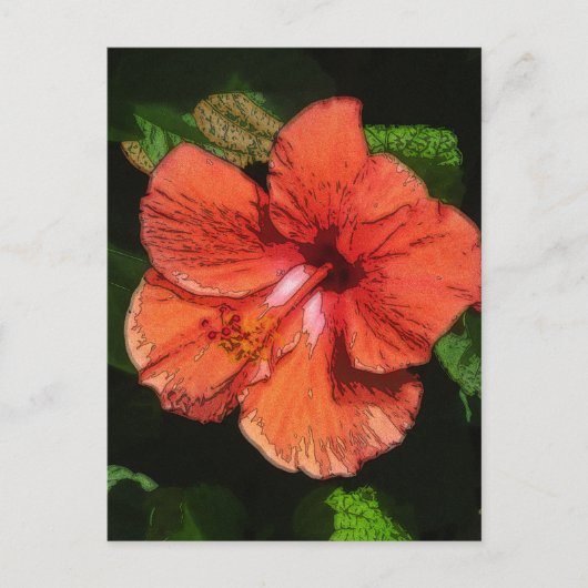 Carte Postale Hibiscus 424 (Devant)
