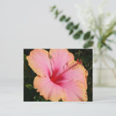 Carte Postale hibiscus 5 (Debout devant)