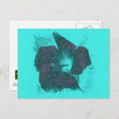 Carte Postale Hibiscus Abstrait Tricolor (Devant / Derrière)