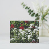 Carte Postale Hibiscus And Phlox Flower Garden Personalized (Debout devant)