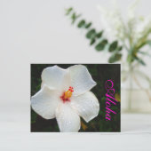 Carte Postale Hibiscus d'Hawaï blanc (Debout devant)