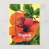 Carte Postale Hibiscus d'oranger tropical d'été (Devant)
