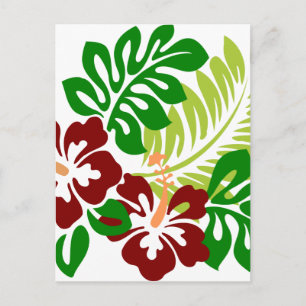 Carte Postale Hibiscus Fleurs tropicales
