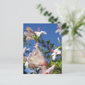 Carte postale Hibiscus Flowers (Debout devant)
