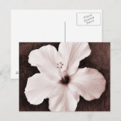 Carte Postale Hibiscus hawaïen blanc Sepia Fleur tropicale (Devant / Derrière)