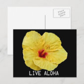 Carte Postale Hibiscus jaune (Devant / Derrière)