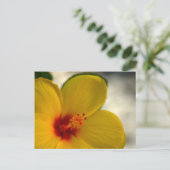 Carte Postale Hibiscus jaune (Debout devant)