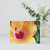 Carte Postale Hibiscus, Jaune-Orange (Debout devant)