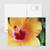 Carte Postale Hibiscus, Jaune-Orange (Devant / Derrière)