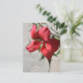 Carte Postale Hibiscus n° 2 (Debout devant)
