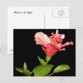 Carte Postale Hibiscus @ Nuit (Devant / Derrière)