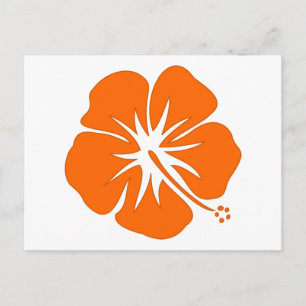 Carte Postale Hibiscus orange